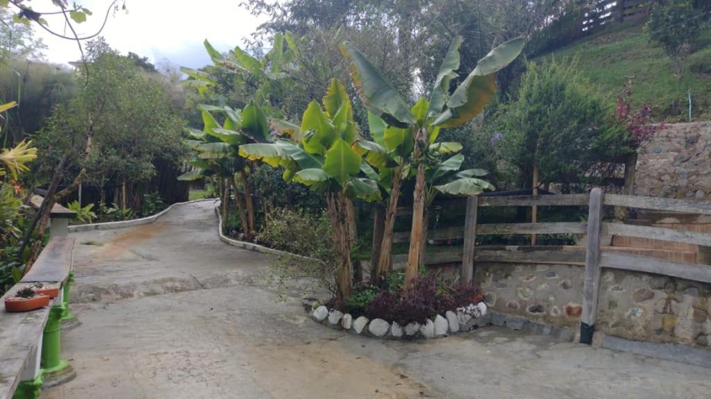 Hotel Selva Verde Salento Exterior foto